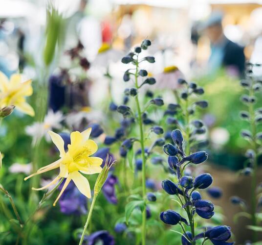 nachhaltigkeit-tr-1[2]